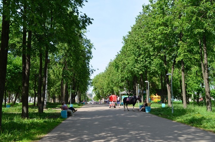 В 2022 году начнется благоустройство парка имени Гагарина