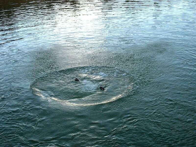 17 человек погибли на воде в Кировской области 