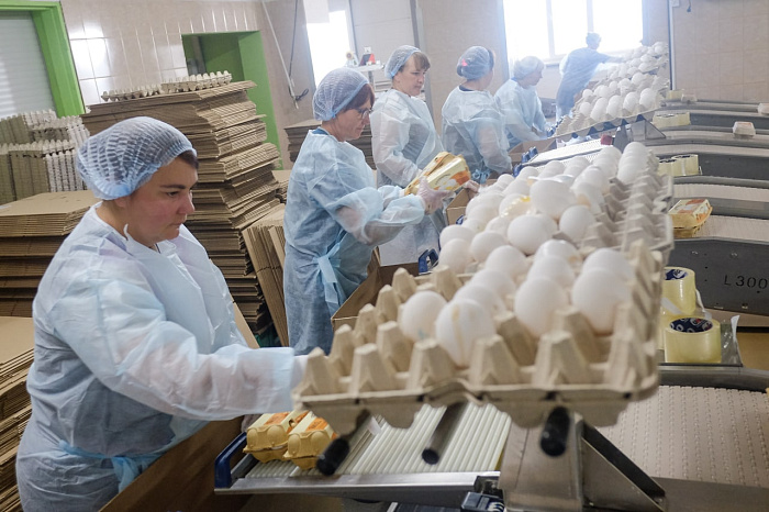 В Кировской области производители яиц снизили цены на свою продукцию