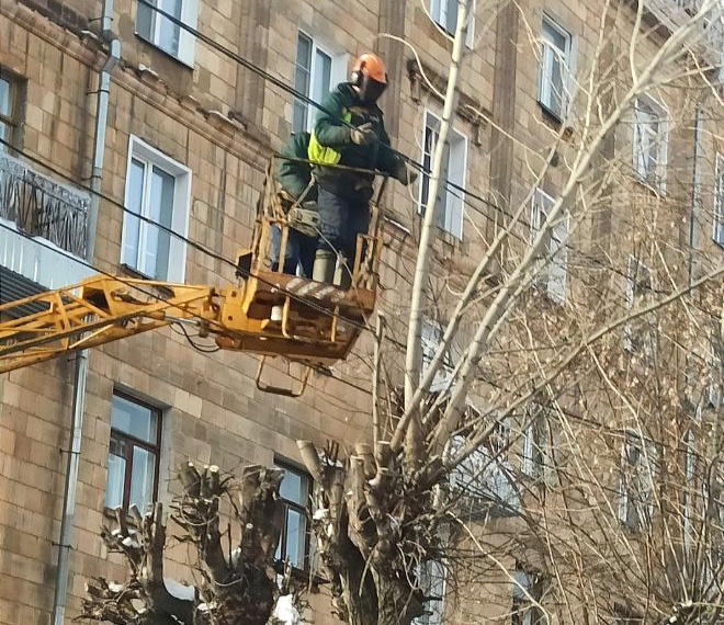 В Кирове массово проводят обрезку деревьев