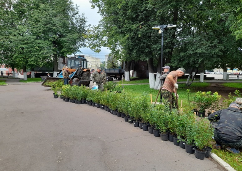 В сквере на Театральной площади высаживают живую изгородь