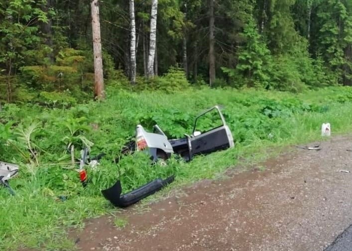 В ДТП в Кирово-Чепецком районе погиб мужчина и пострадал младенец