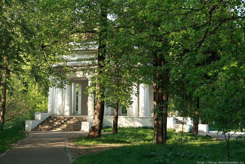 Кировчан приглашают на «Зеленые прогулки»