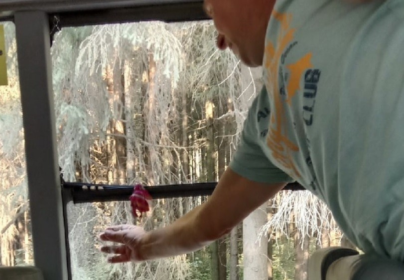 Из-за плохой дороги у автобуса на Сидоровку разлетелось стекло