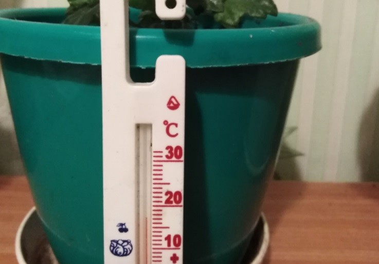 В домах и школе в Опаринском районе температура опустилась до 5 градусов