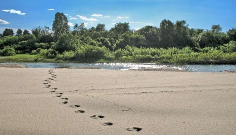 В Кировской области снижается число трагедий с детьми на воде