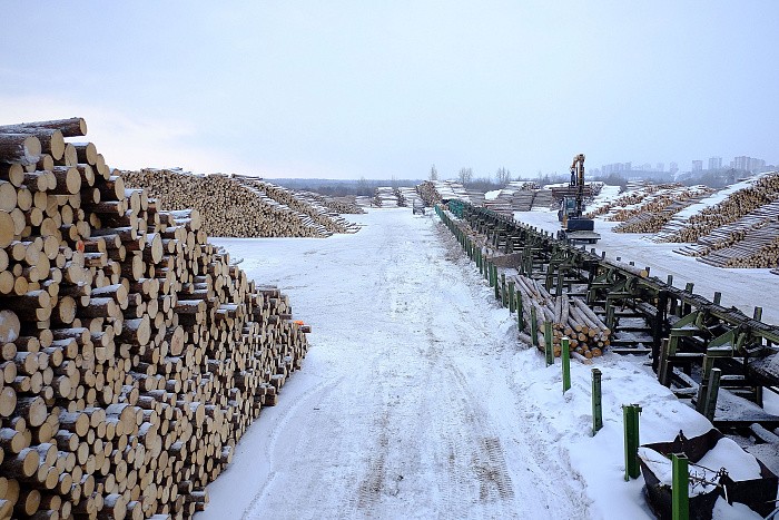 Экспорт леса в Китай из Кировской области вырос на 58%