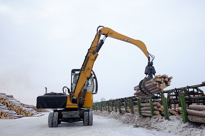 Экспорт древесины из Кировской области за год вырос на 38%