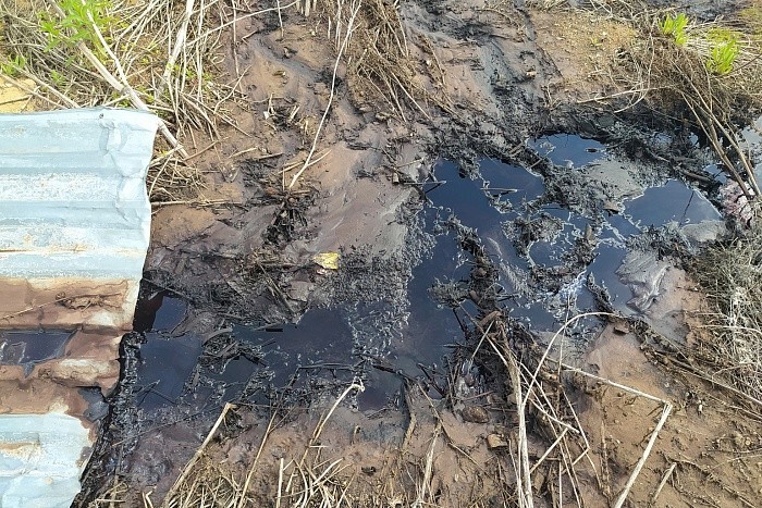 Китайское предприятие в Котельниче оштрафуют за загрязнение почвы