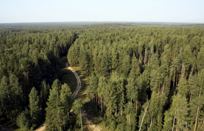 В Кирове заведено очередное дело о коммерческом подкупе