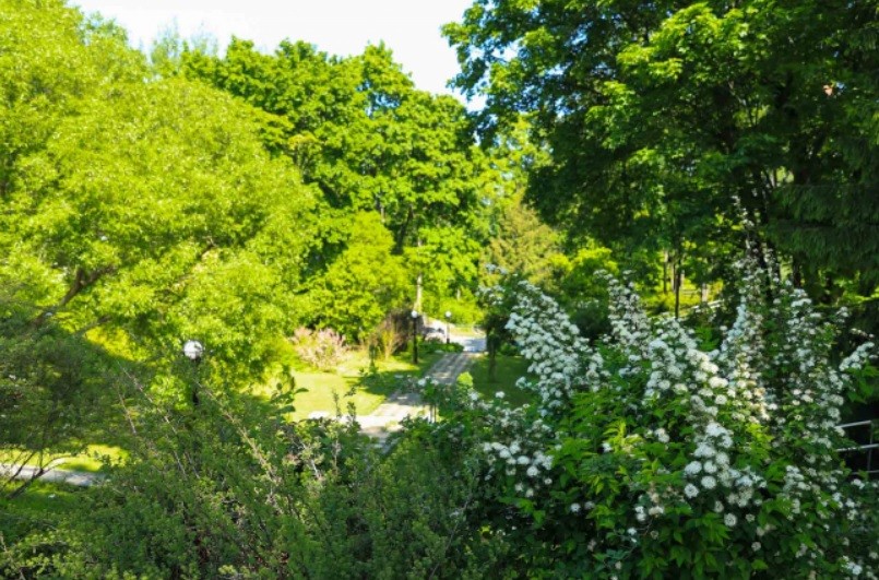 Ботанический сад ВятГУ готов к приему посетителей