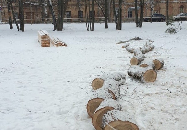 Прокуратура заинтересовалась вырубкой деревьев в Гагаринском парке