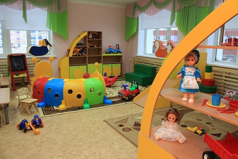 Илья Шульгин прокомментировал увольнение заведующей детским садом, нелегально устроившей детей