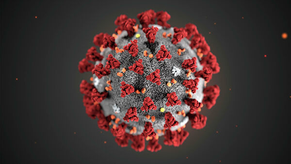  "Биопаг-Д": как защитить от коронавируса образовательные учреждения? 