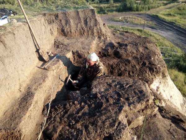 В Кировской области начнут раскапывать скелет ихтиозавра