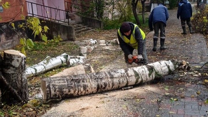 Ветер повалил в Кирове более 30 деревьев