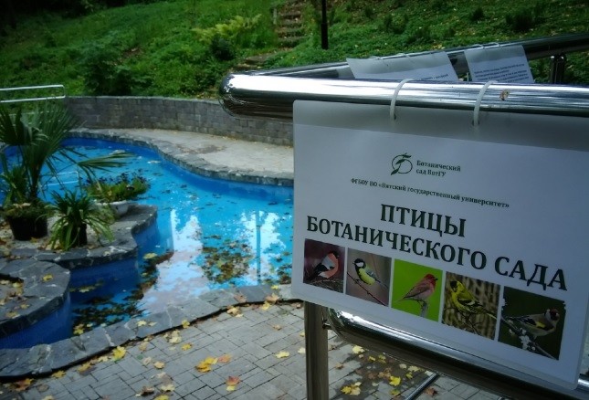 Кировчан приглашают на выставку "Птицы Ботанического сада"