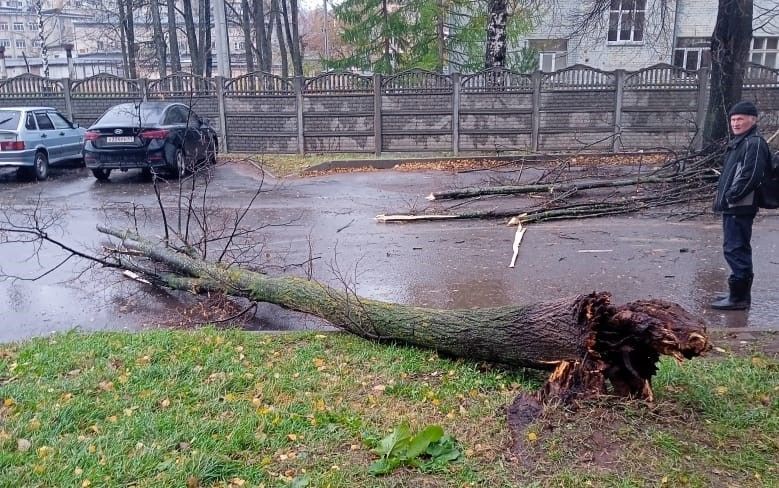 В Кирове устраняют последствия шквалистого ветра