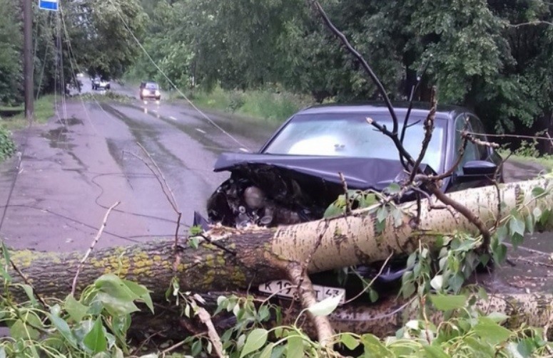 Последствия непогоды в Кирове устраняли 100 бригад энергетиков