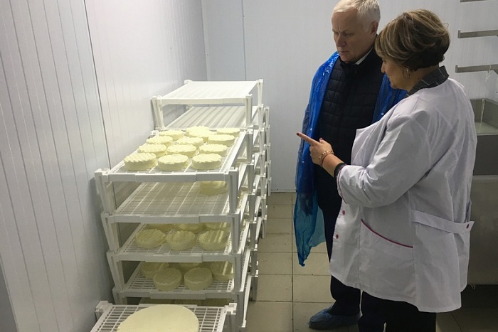 В Кировской области запустили еще одно производство сыров