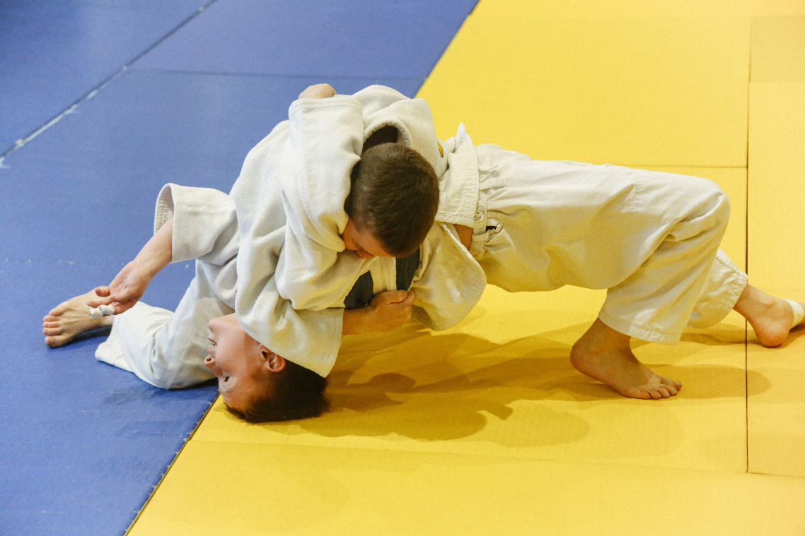 Дзюдо 3
