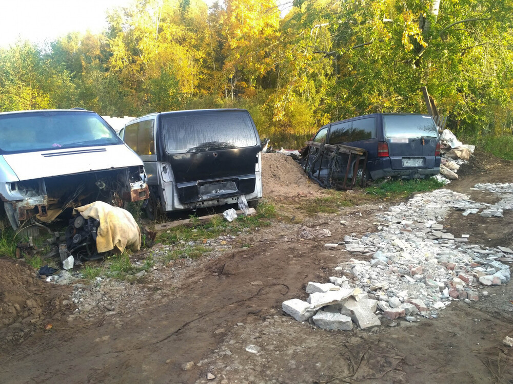 автомобили.jpg