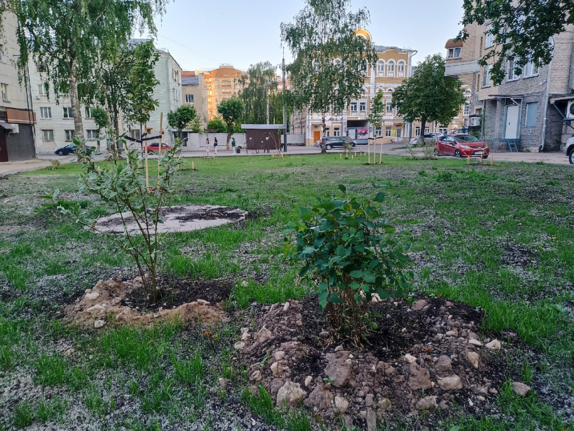 На перекрестке Ленина и Милицейской в Кирове появится новый сквер