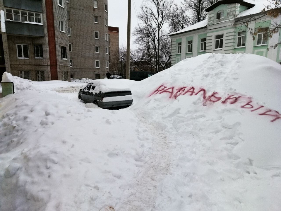 Навальный на снегу.jpg