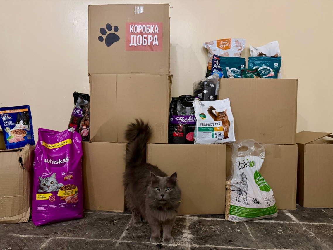 КЧХК Благотворительные акции совета молодежи (2).jpeg