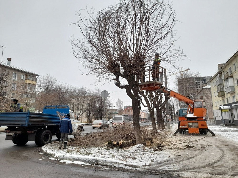 В Кирове началась обрезка деревьев