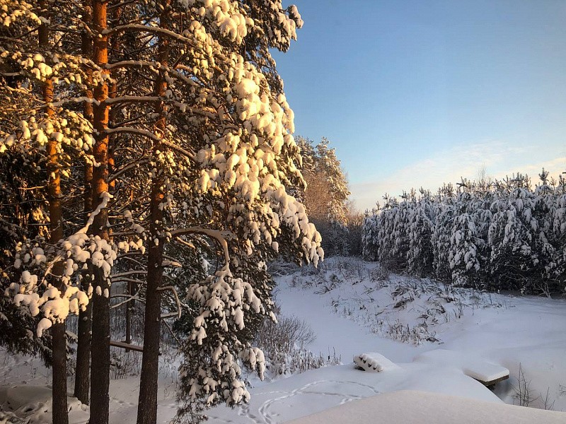 В Кировскую область пришли обещанные 30-градусные морозы