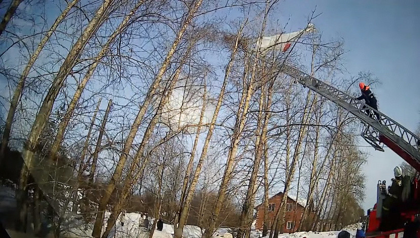 В Кирове спасли парашютиста, приземлившегося на верхушку дерева