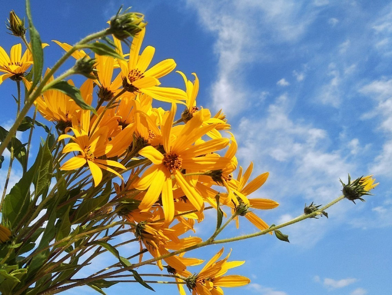 В конце июля в Кирове снова «включат» настоящее лето