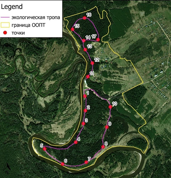 Тропа без вырубок: сформирован маршрут Великорецкой экотропы