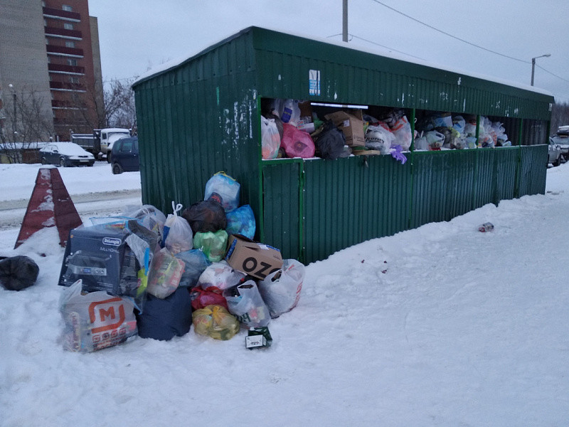 Кировчане жалуются на переполненные мусорные баки
