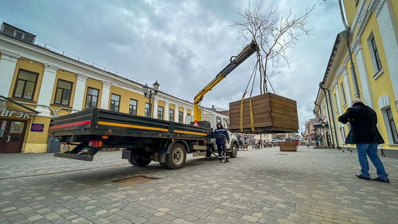 100 деревьев в контейнерах поставят в этом году в Кирове