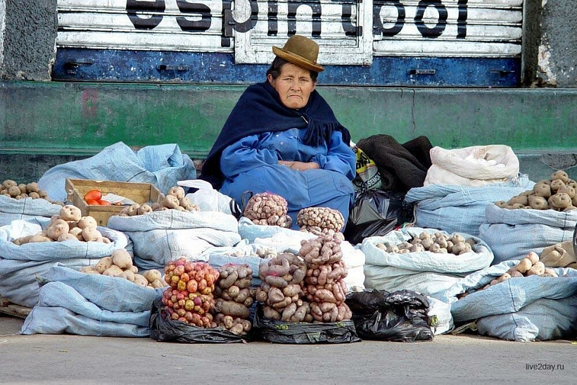Где в Кирове официально можно продавать продукты из сада? 