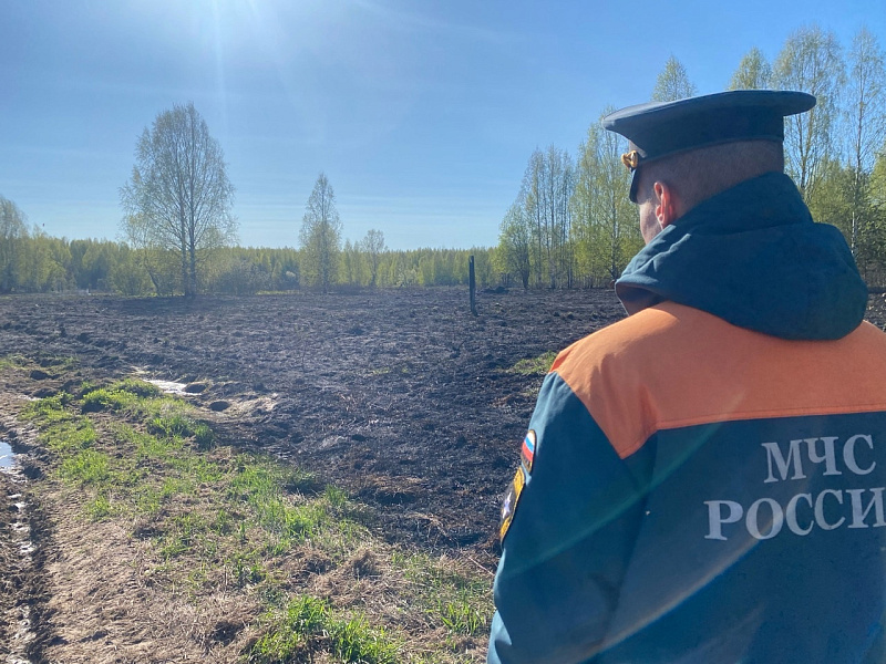 В Котельничском районе горели 5,5 гектаров сухой травы