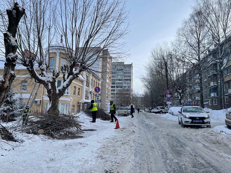 Припаркованные машины кировчан мешают обрезке деревьев