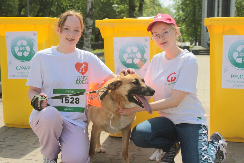Волонтёры-экологи совершили 54 добрых дела