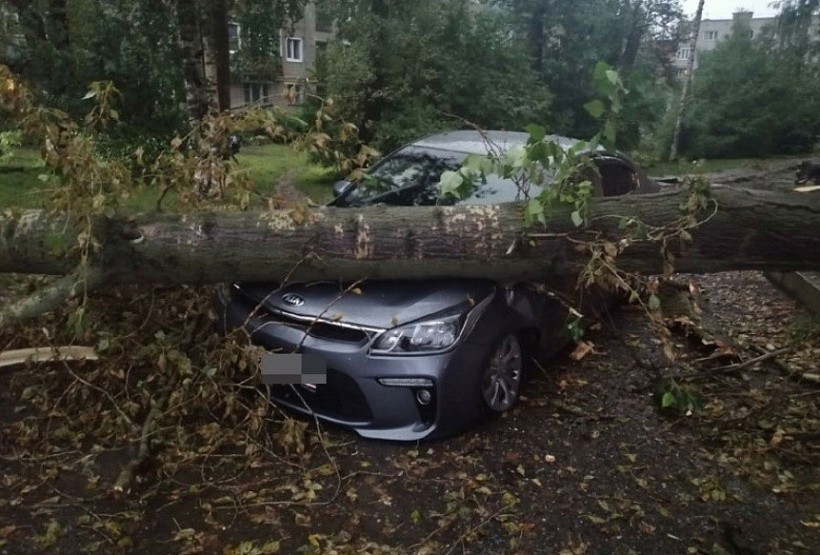 Ураган в Кирове повалил 40 деревьев и оборвал провода