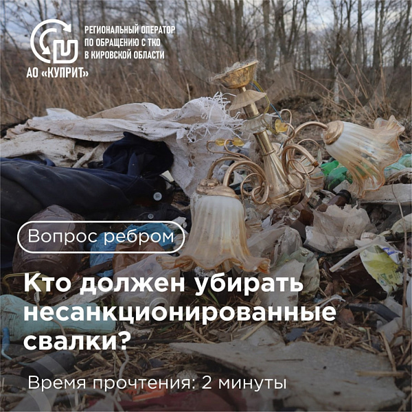 Вопрос ребром: Кто убирает несанкционированные свалки?