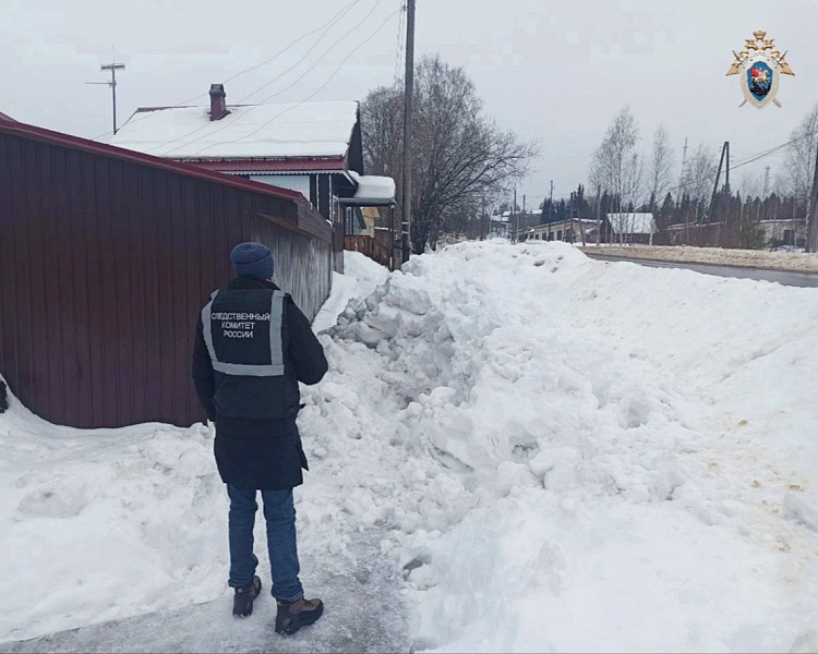 Глава Следкома потребовал возбудить уголовное дело после падения снежной глыбы на ребёнка в Нагорске