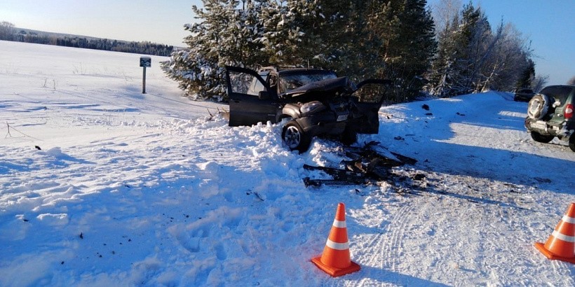 6 человек пострадали в ДТП в Сунском районе