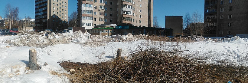 На улице Сурикова спилили деревья ради строительства дороги