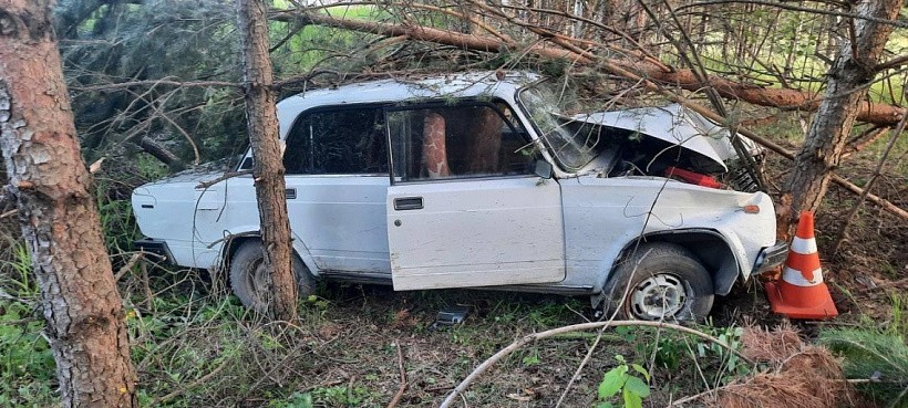 В Кирове бесправник врезался в дерево