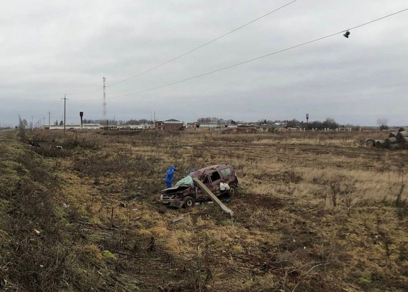 Два человека погибли в опрокинувшейся машине в Кирово-Чепецком районе