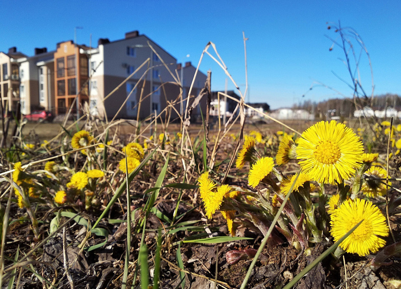 Понедельник станет самым теплым днем наступающей «короткой» недели в Кирове