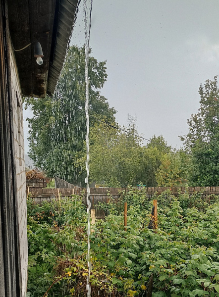 Всю рабочую неделю в Кирове прогнозируют дожди 