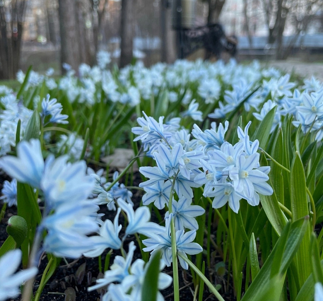 Ботанический сад в Кирове сегодня открывает свои двери для всех посетителей